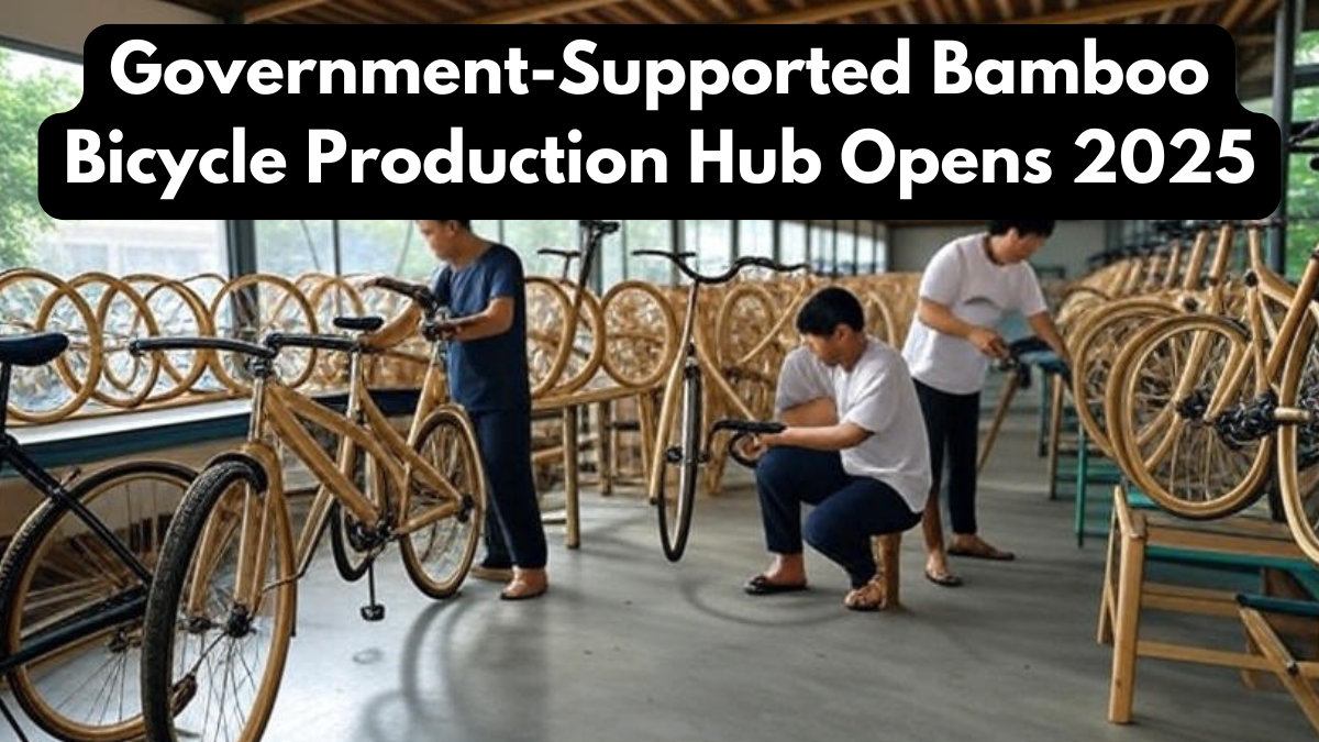 Government-Supported Bamboo Bicycle Production Hub Opens 2025 – Eco Transport Boost