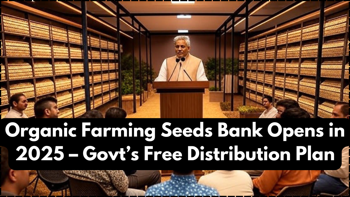 Organic Farming Seeds Bank Opens in 2025 – Govt’s Free Distribution Plan