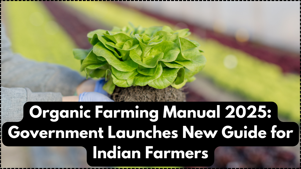 Organic Farming Manual 2025: Government Launches New Guide for Indian Farmers