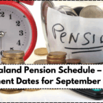New Zealand Pension Schedule – Monthly Payment Dates for September 2025